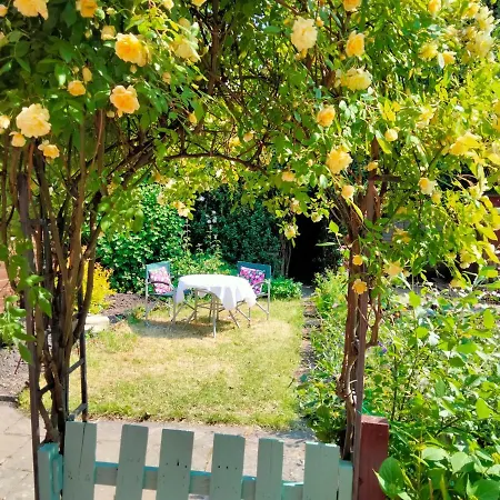 Garden 펜션