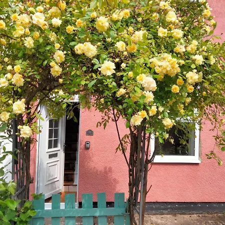 Дом отдыха Garden Гисборо